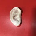 Dây chuyền/Mặt dây chuyền hình tai - Thumbnail 4