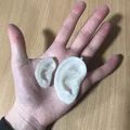 Dây chuyền/Mặt dây chuyền hình tai - Thumbnail 6