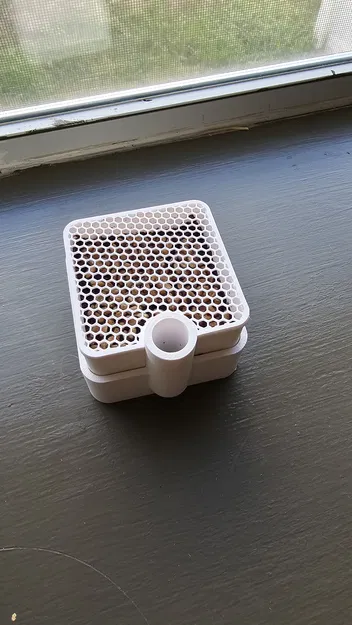 Chậu tự tưới - cỏ mèo - Image 1