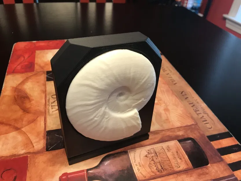 Giá đỡ Trưng bày Hóa thạch Ammonite - Image 1