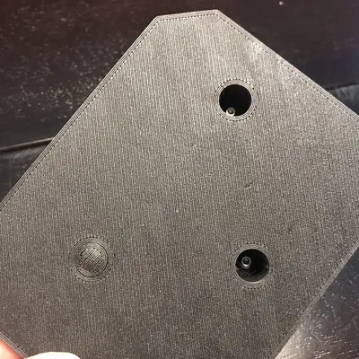 Giá đỡ Trưng bày Hóa thạch Ammonite