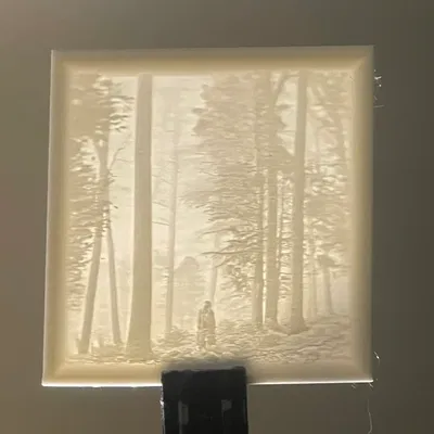 Tranh Lithophane Ảnh Bìa Album "Folklore"