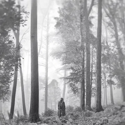 Tranh Lithophane Ảnh Bìa Album "Folklore"