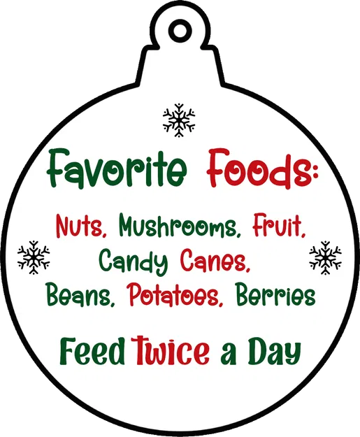 Yêu Tinh Giáng Sinh Trong Lọ / Đồ Trang Trí - Image 3