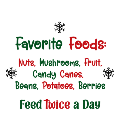 Yêu Tinh Giáng Sinh Trong Lọ / Đồ Trang Trí