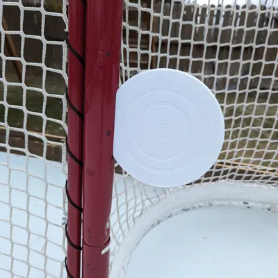 Mục tiêu từ tính