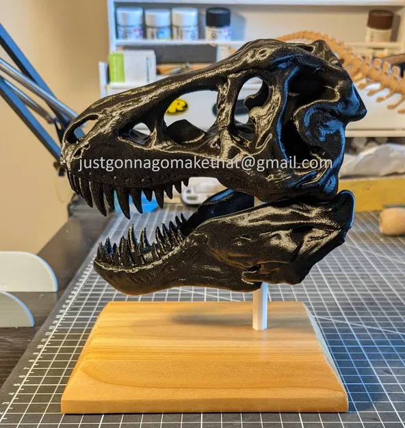 Hộp sọ T-Rex có cả Hàm - Image 1