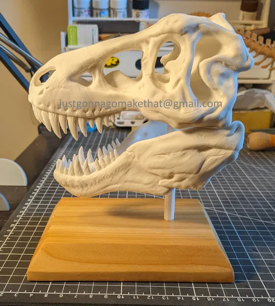 Hộp sọ T-Rex có cả Hàm - Image 2