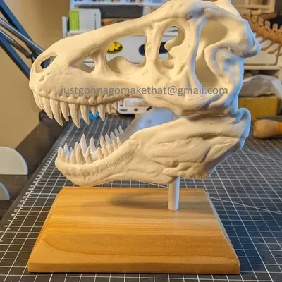 Hộp sọ T-Rex có cả Hàm