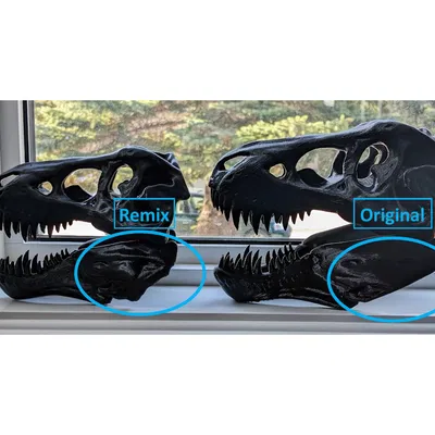 Hộp sọ T-Rex có cả Hàm