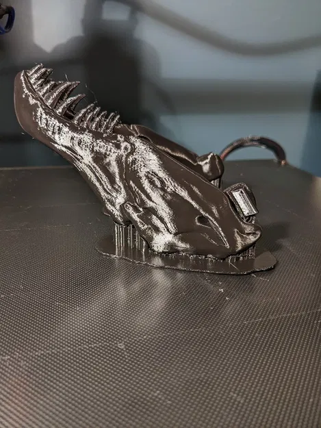 Hộp sọ T-Rex có cả Hàm - Image 4