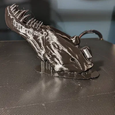 Hộp sọ T-Rex có cả Hàm