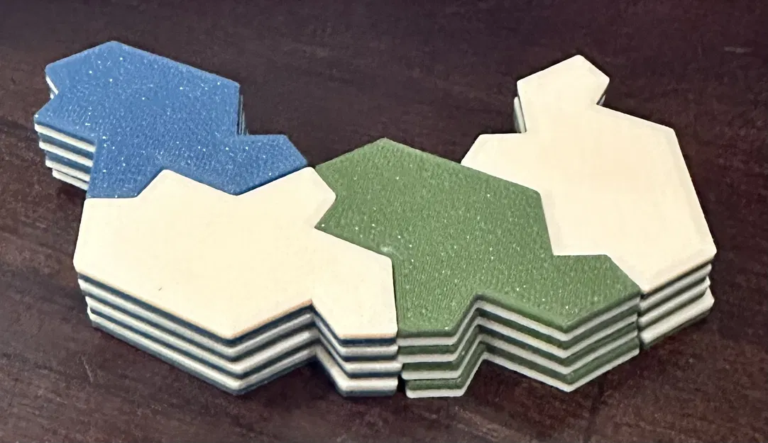 Rùa Aperiodic "Einstein" - Image 1