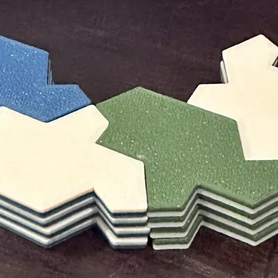 Rùa Aperiodic "Einstein"