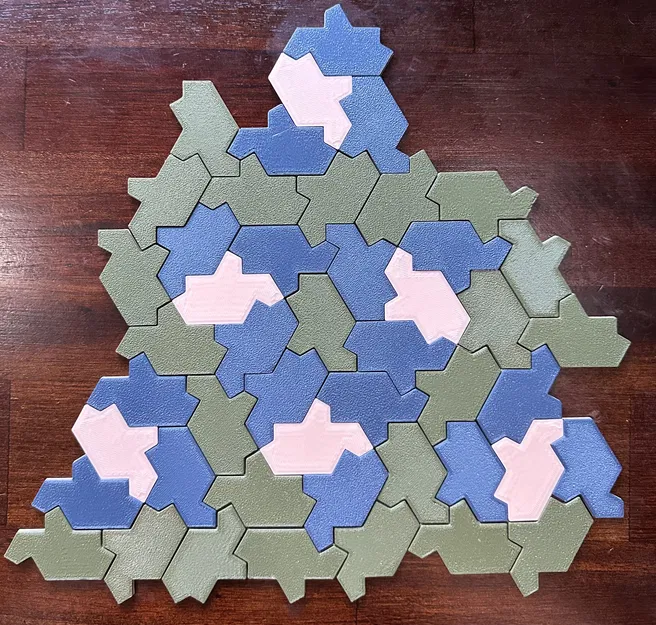 Rùa Aperiodic "Einstein" - Image 2