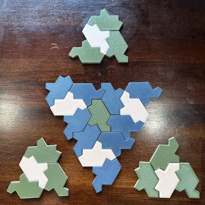 Rùa Aperiodic "Einstein"