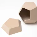Chậu Hoa Dodecahedron Có Đĩa Hứng - Thumbnail 1