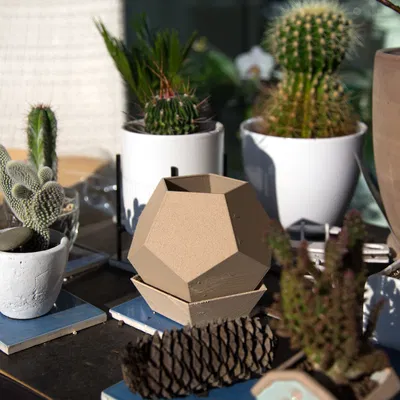 Chậu Hoa Dodecahedron Có Đĩa Hứng