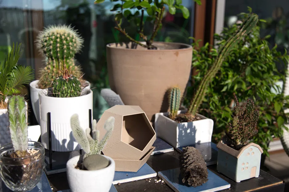 Chậu Hoa Dodecahedron Có Đĩa Hứng - Image 5