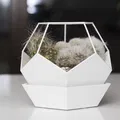 Chậu Hoa Hình Dodecahedron Có Đế Lót - Thumbnail 1