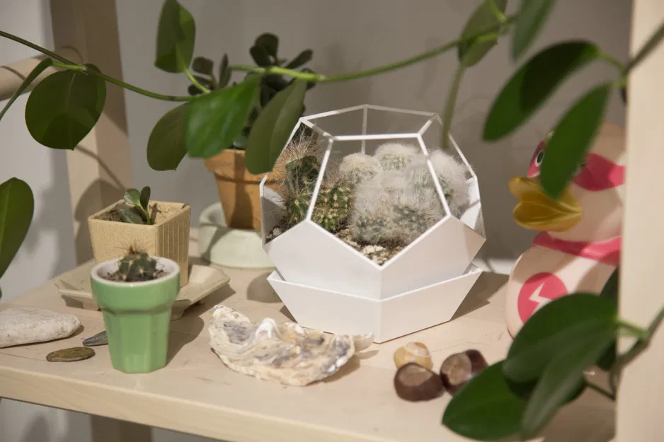 Chậu Hoa Hình Dodecahedron Có Đế Lót - Image 9