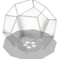 Chậu Hoa Hình Dodecahedron Có Đế Lót - Thumbnail 16