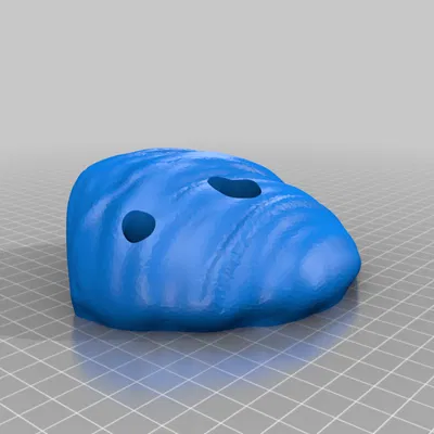 Mẫu Thử Ốp Trụ Leo Núi Không Đủ Crimp