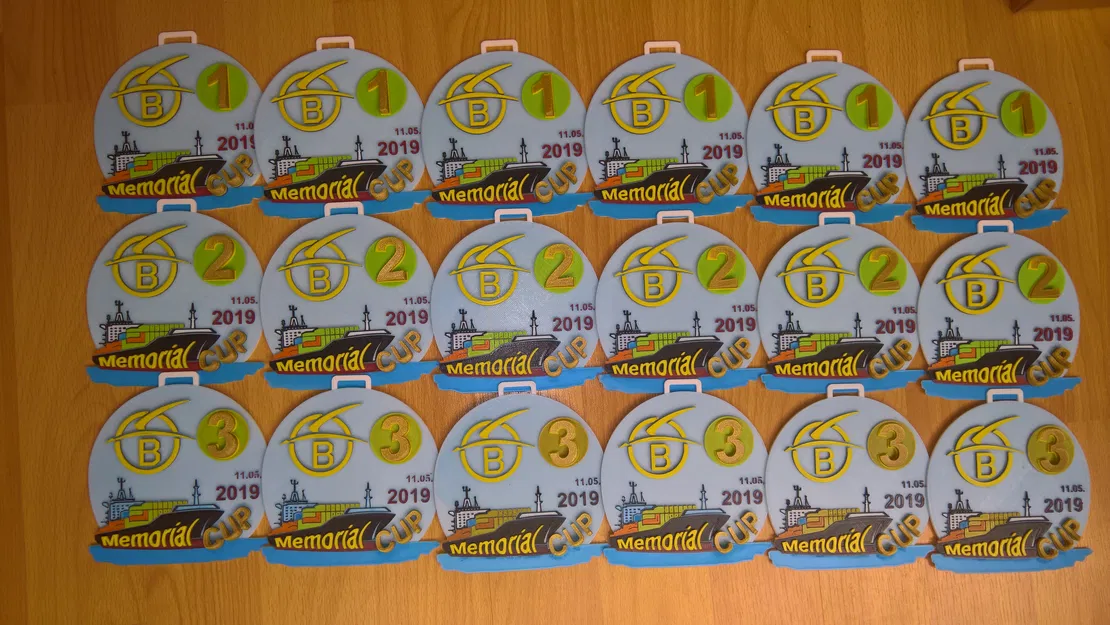 Mô hình và huy chương in 3D - Image 1