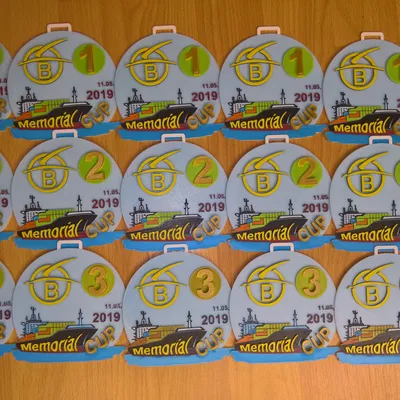 Mô hình và huy chương in 3D