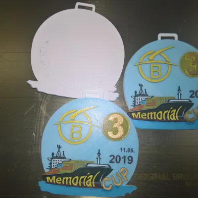 Mô hình và huy chương in 3D