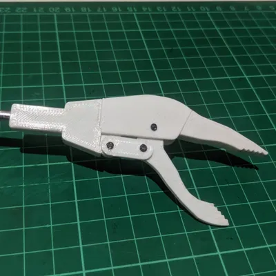 Cái Gắp Quạ "Crow Grabber"