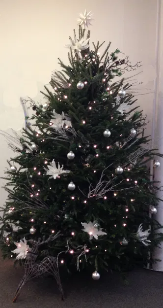 Đỉnh Ngôi Sao Cây Moravian, lấy cảm hứng từ Ngôi Sao Herrnhuter - Image 3