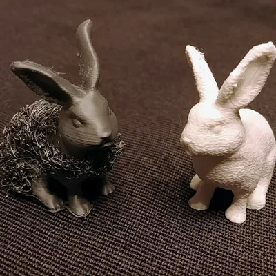 Thỏ Lông Xù / Thỏ Mượt