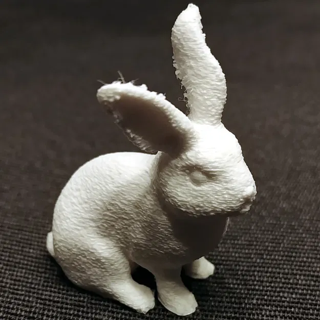 Thỏ Lông Xù / Thỏ Mượt - Image 2