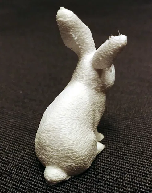 Thỏ Lông Xù / Thỏ Mượt - Image 3