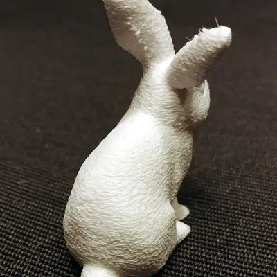 Thỏ Lông Xù / Thỏ Mượt