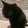 LaAlance_1268444