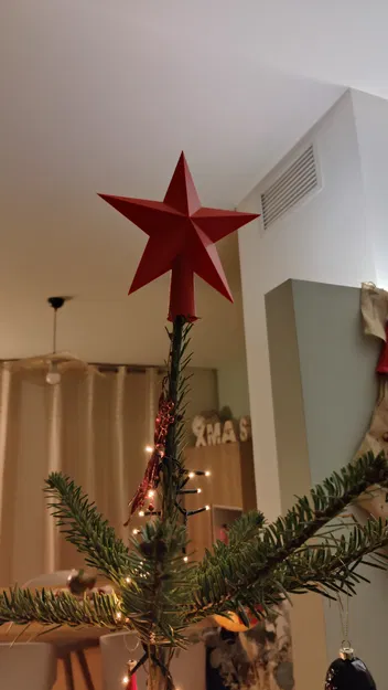 Tree Star (đã khoét rỗng) - Image 1