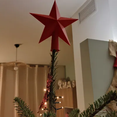 Tree Star (đã khoét rỗng)