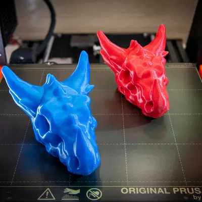 Bộ Xương Rồng Thân Thiện Với Trẻ Em