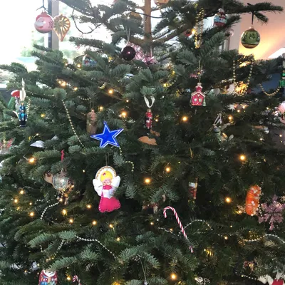 Trang Trí Cây Thông Noel Dallas Cowboys