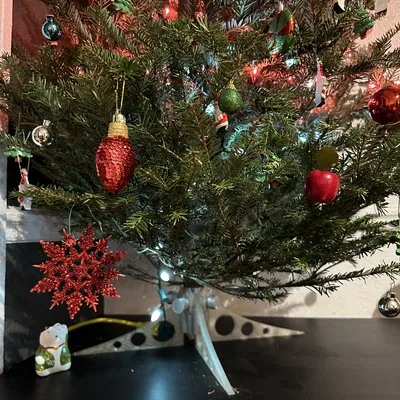 Chân đế cây thông Noel