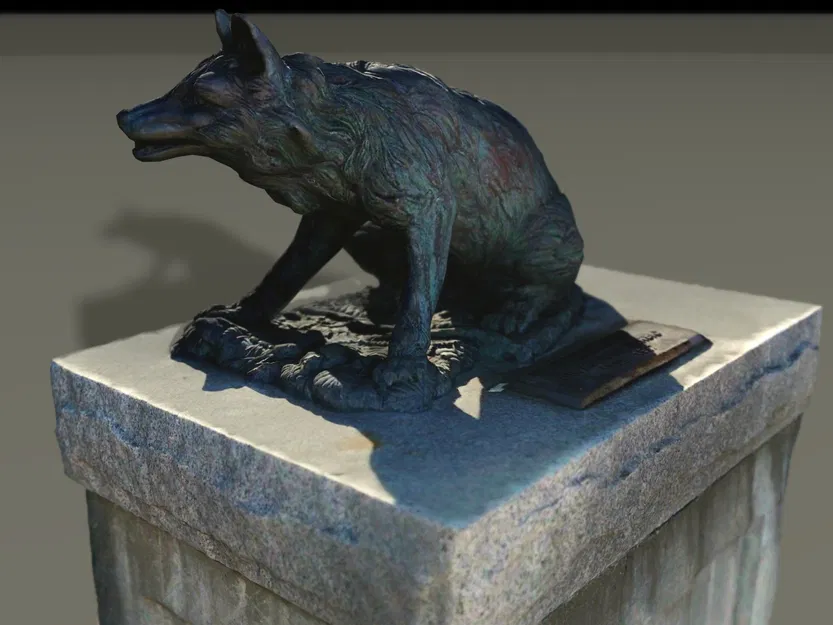 Cáo / Sói Thực Tế Trên Đá - Image 1