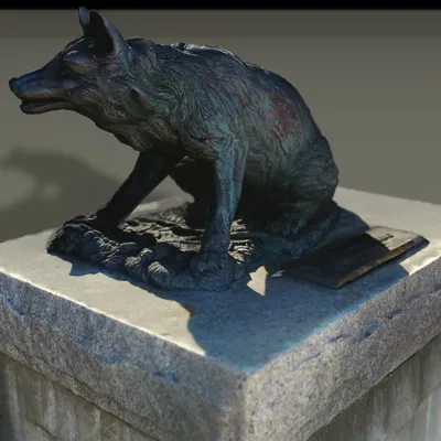 Cáo / Sói Thực Tế Trên Đá