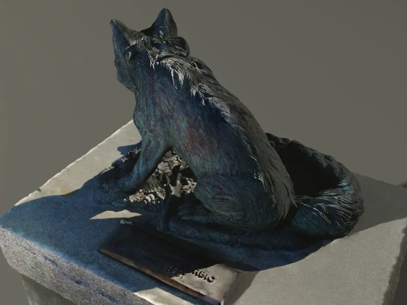 Cáo / Sói Thực Tế Trên Đá - Image 2