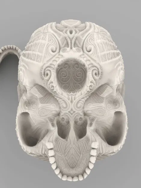 Hộp Sọ Phong Cách Điêu Khắc Hoa Văn Cổ Điển - Image 12