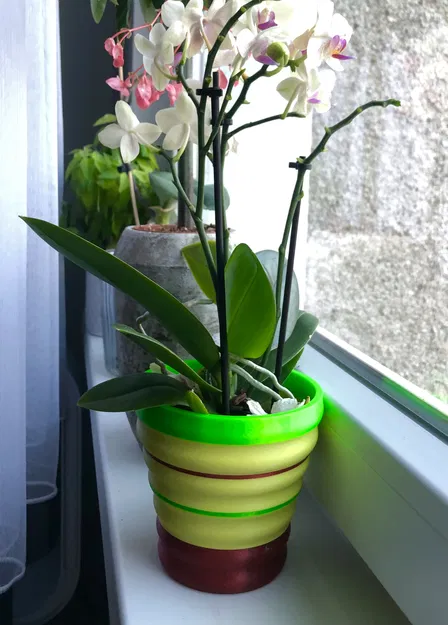 Chậu Hoa Kiểu Dáng Độc Đáo - Image 2