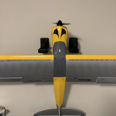 Giá Treo Tường Carbon Cub