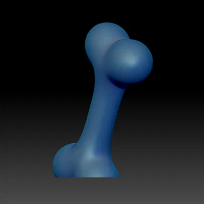 Mô Hình 3D Xương Chó Trang Trí Độ Phân Giải Cao