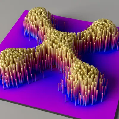 X-Blob Silhouette - Tượng Trang Trí Độc Đáo